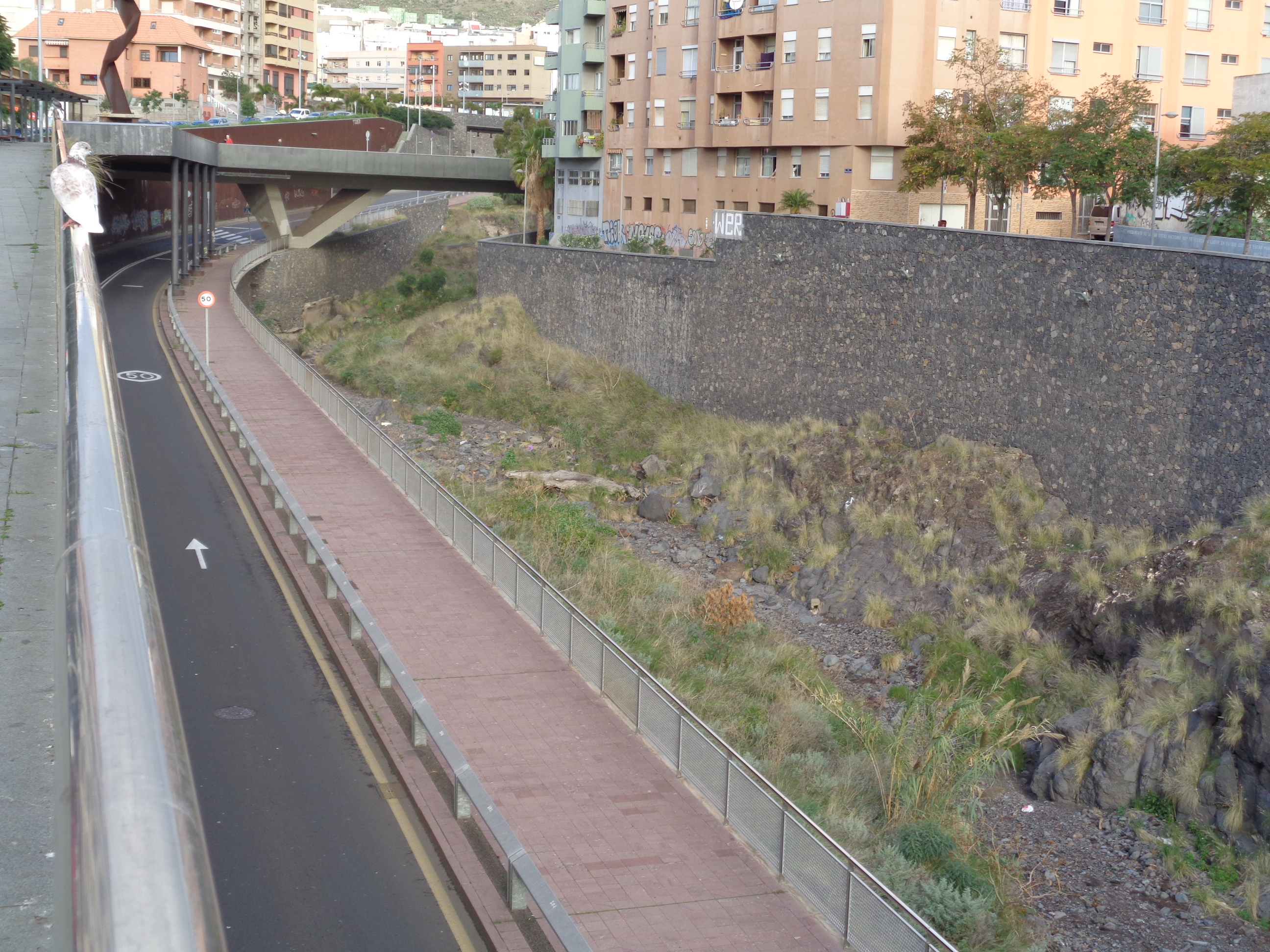 barranco de santos, santa cruz de tenerife 14