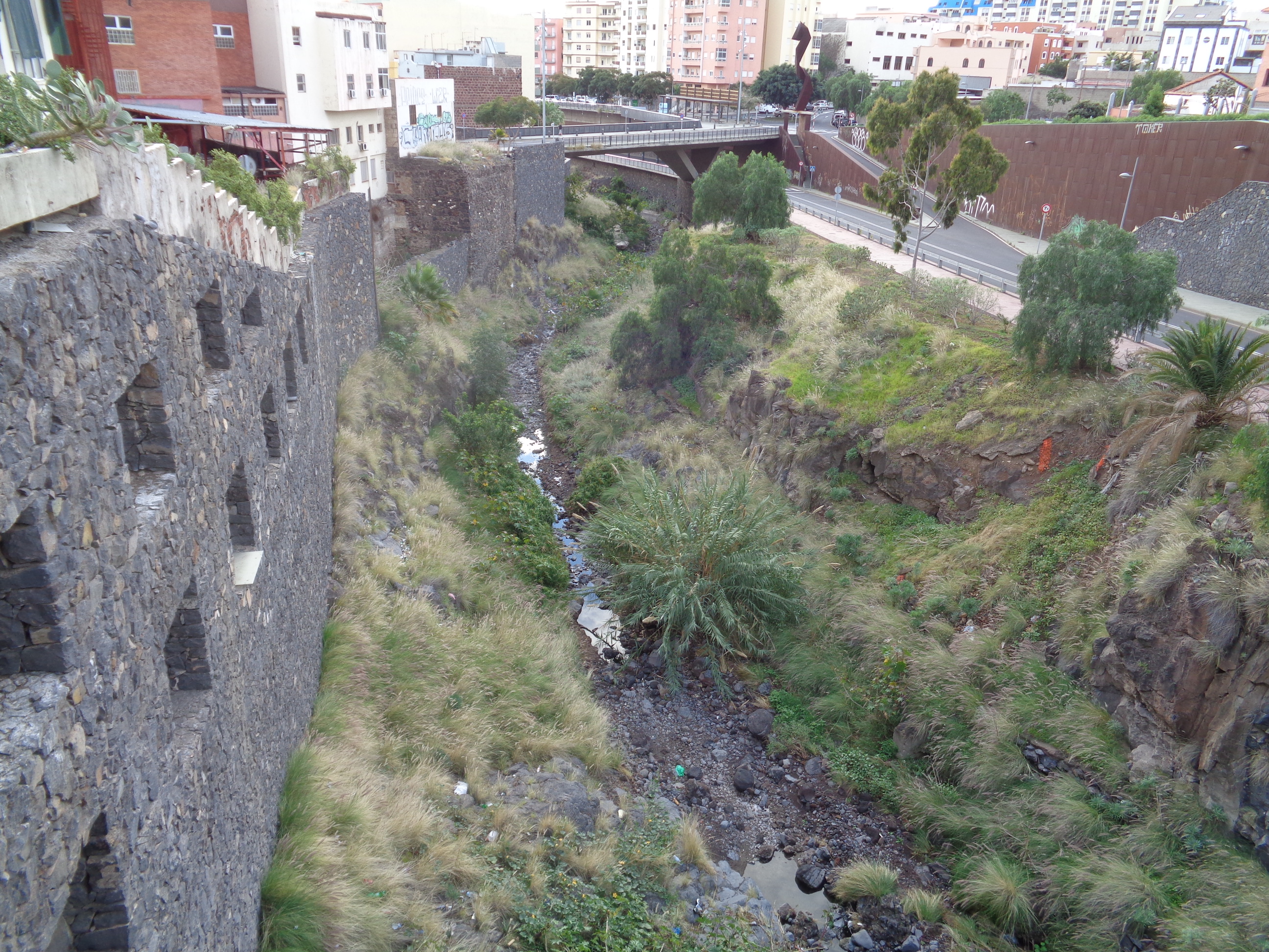 barranco de santos, santa cruz de tenerife 15