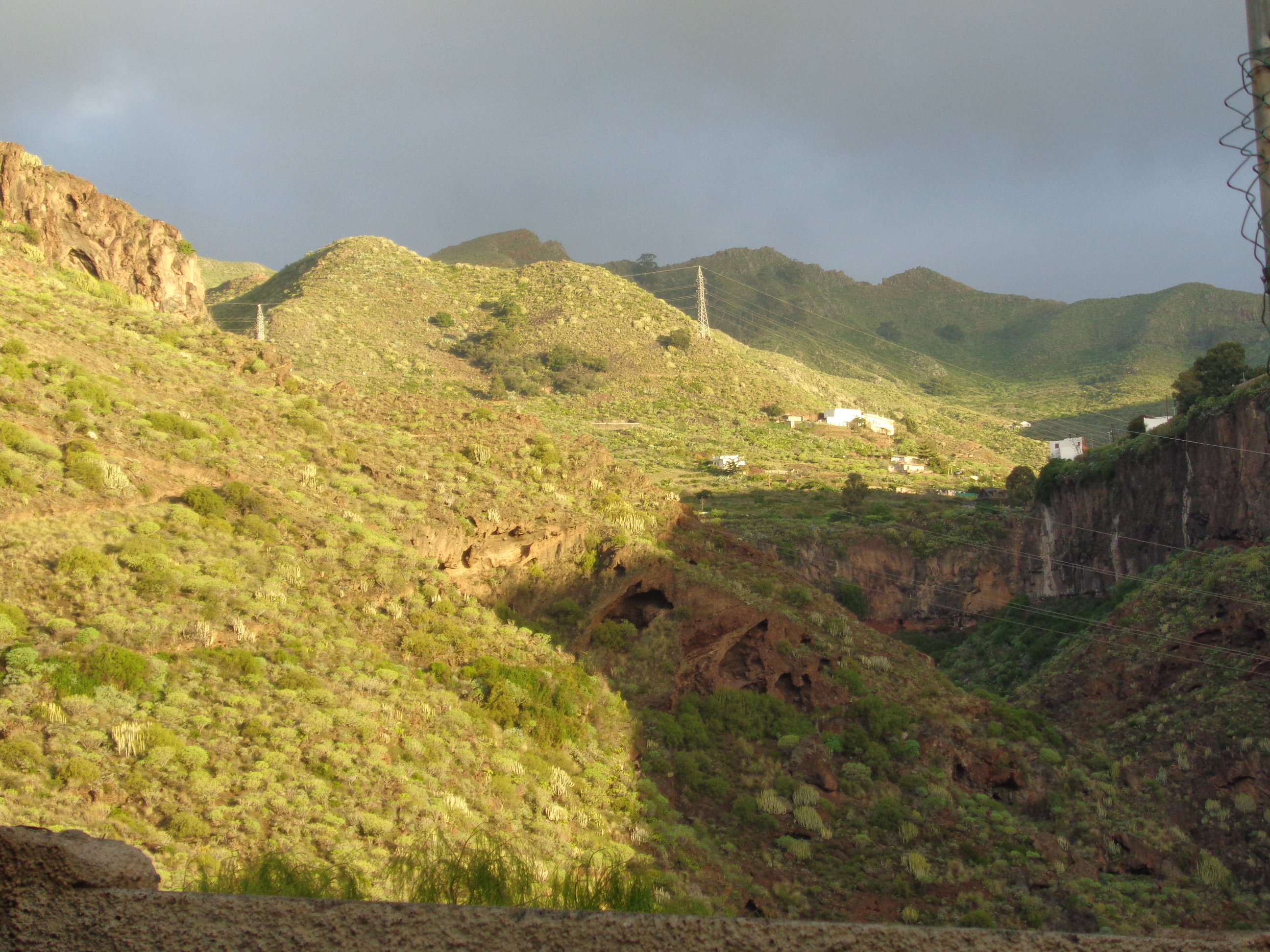 barranco de santos, santa cruz de tenerife 26