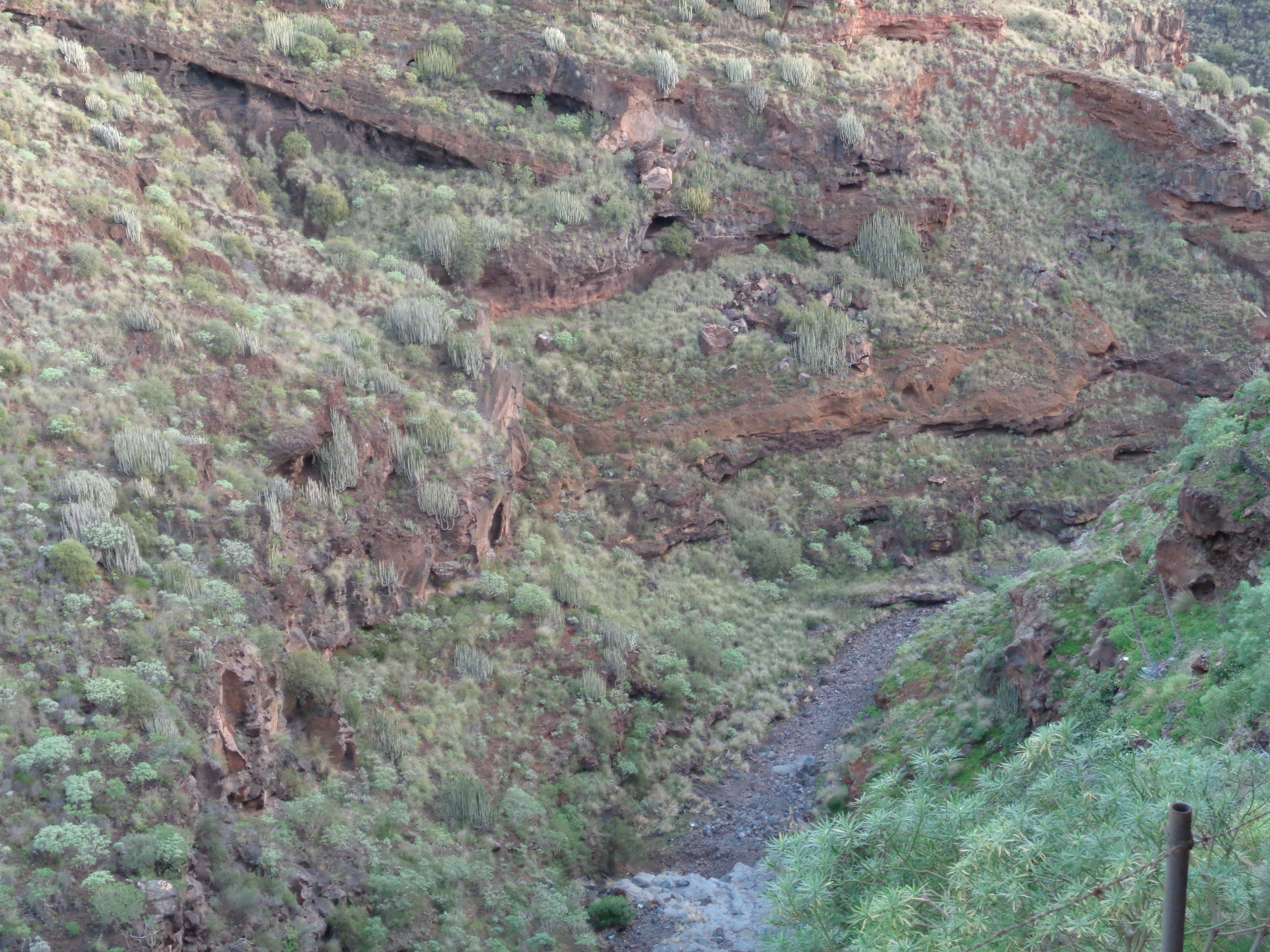 barranco de santos, santa cruz de tenerife 27