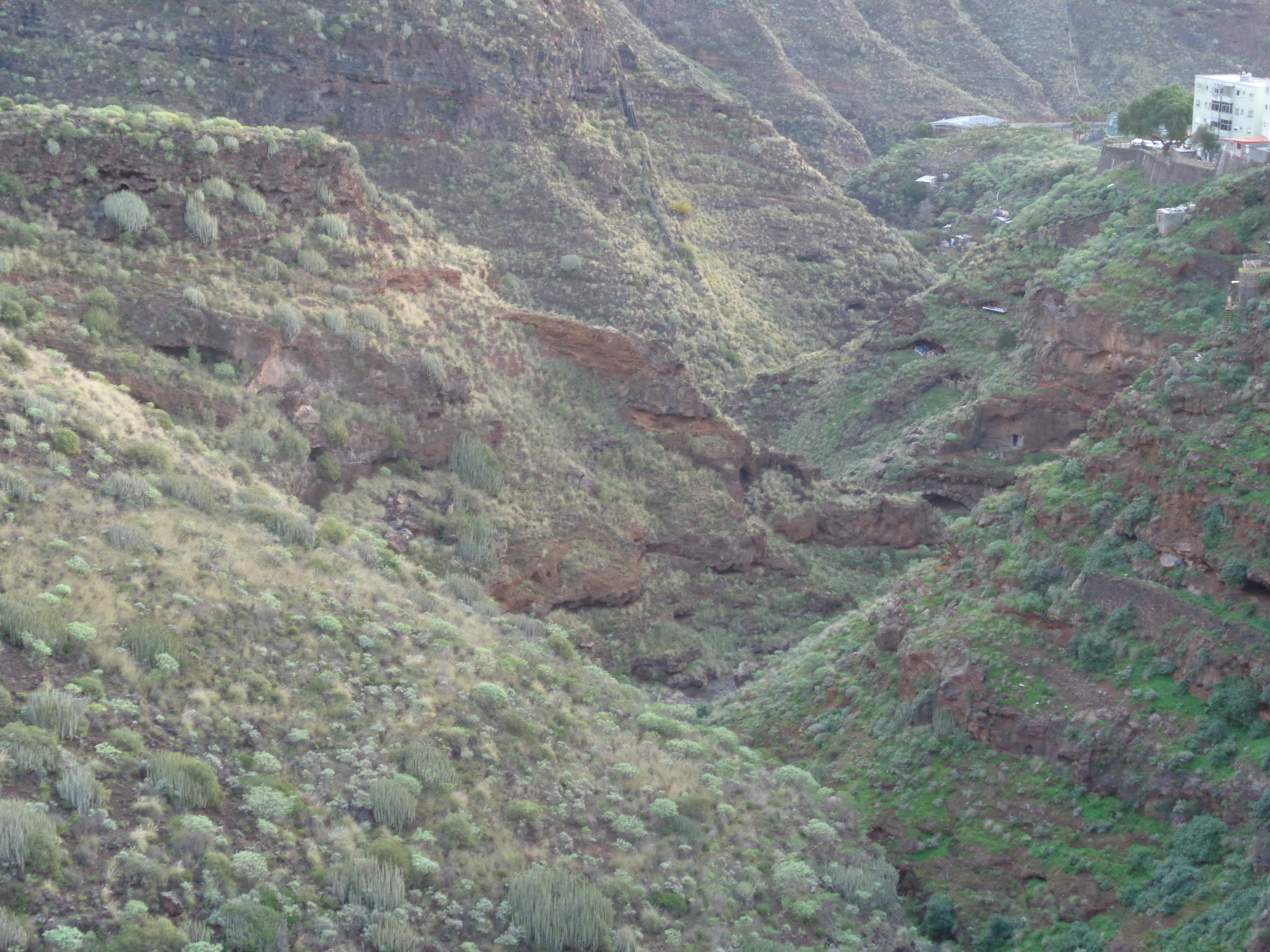 barranco de santos, santa cruz de tenerife 29