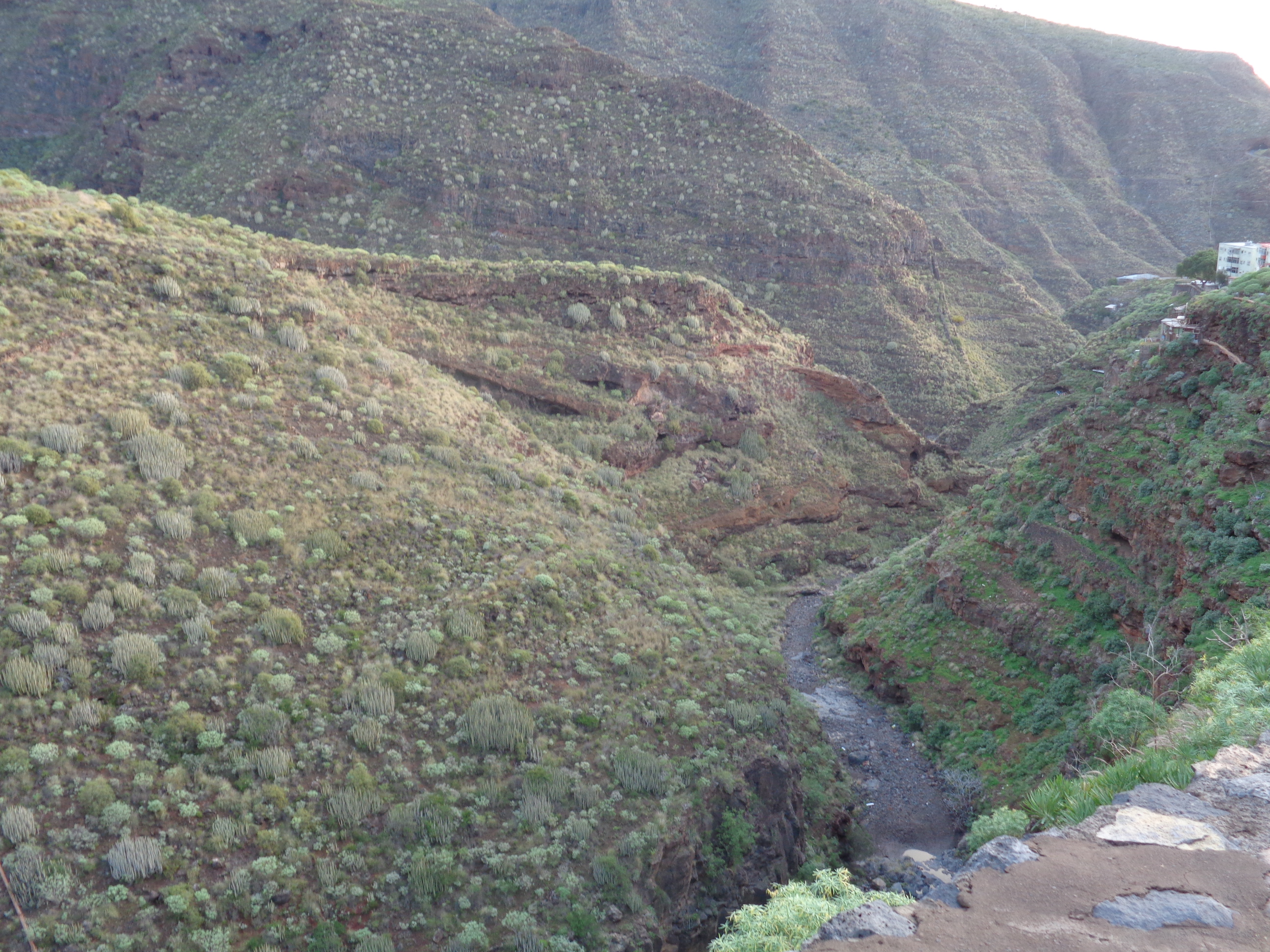 barranco de santos, santa cruz de tenerife 30