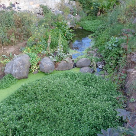Barranco de Santos, San Cristóbal de la Laguna, Tenerife, España