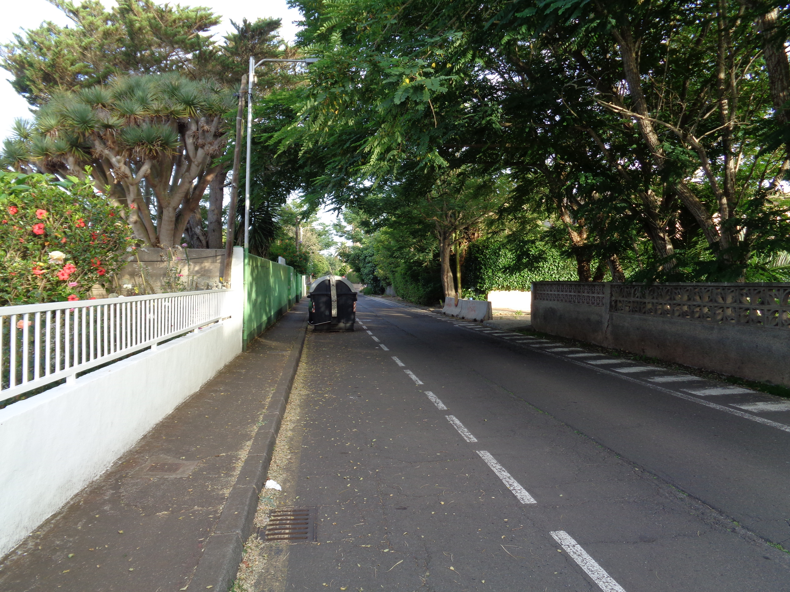 Fotografía de Camino de Santa Rosa de Lima en Guamasa