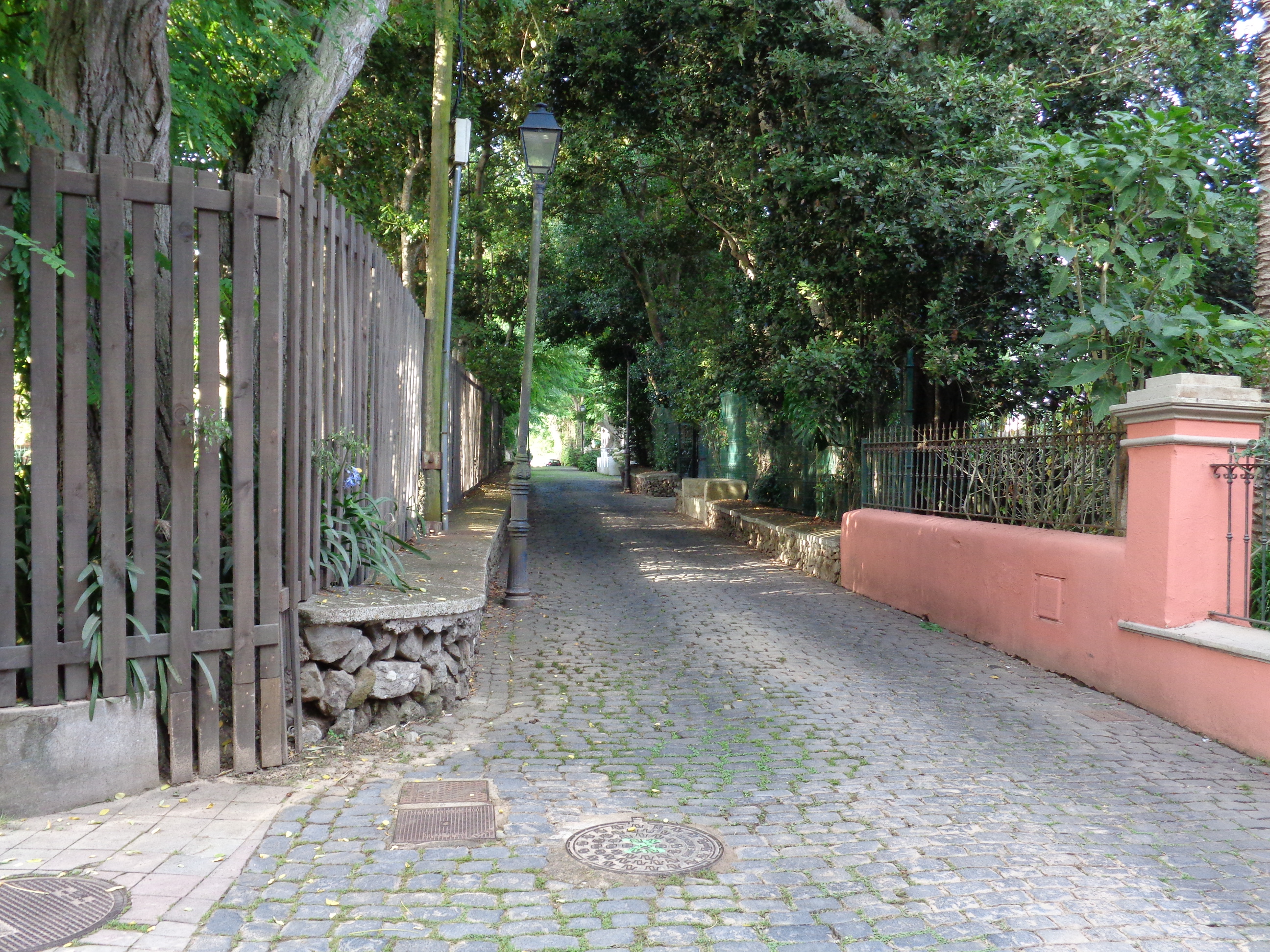Fotografía del paseo de las Acacias en Guamasa